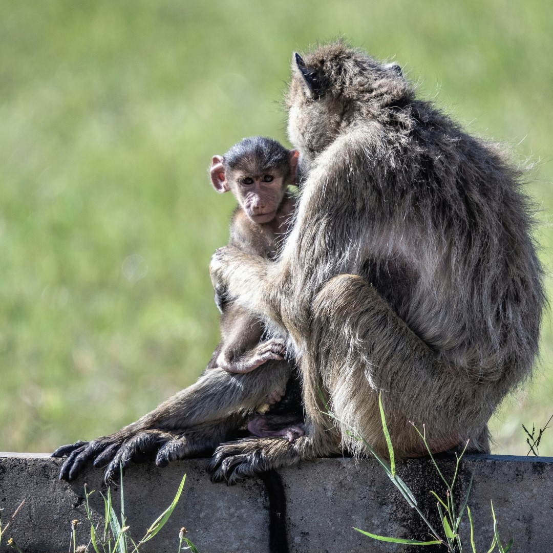 Destination
