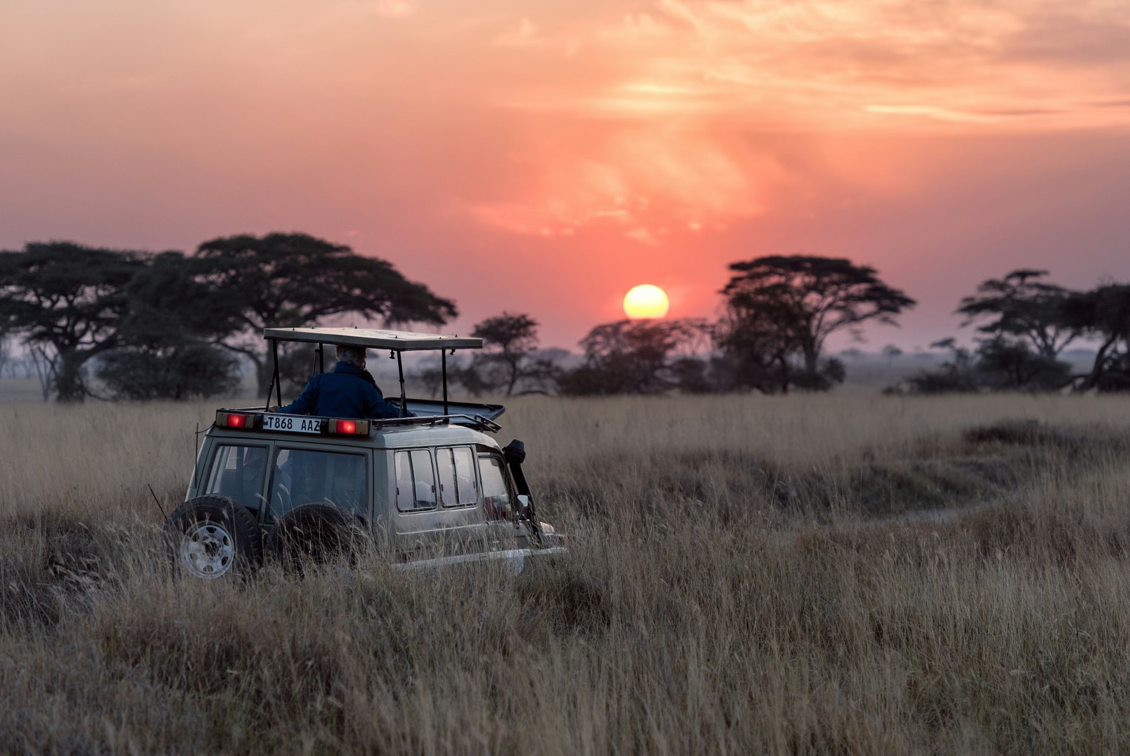 Safari Adventure